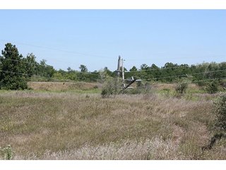 Property photo 30 - 419 +/- Acres offered in 6 Tracts, Land Auction